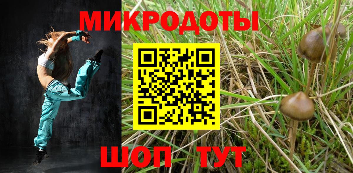 Галлюциногенные грибы Magic Shrooms Калининград