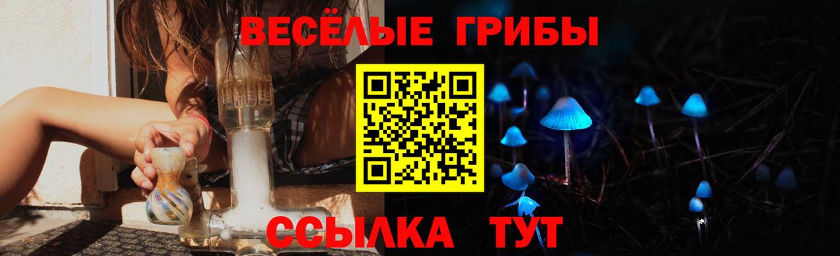 Псилоцибиновые грибы GOLDEN TEACHER  Вход с VPN  Калининград  Галлюциногенные грибы мухоморы 
